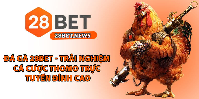 Đá gà 28bet - Trải nghiệm cá cược thomo trực tuyến đỉnh cao 1 Đá gà 28bet - Trải nghiệm cá cược thomo trực tuyến đỉnh cao