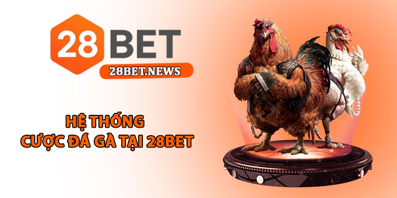 Đá gà 28bet - Trải nghiệm cá cược thomo trực tuyến đỉnh cao 2 Hệ thống cược đá gà tại 28bet