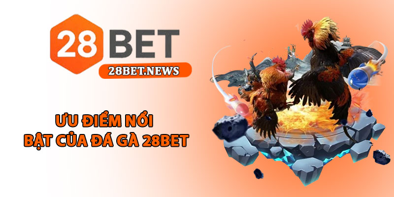 Đá gà 28bet - Trải nghiệm cá cược thomo trực tuyến đỉnh cao 3 Ưu điểm nổi bật của đá gà 28bet